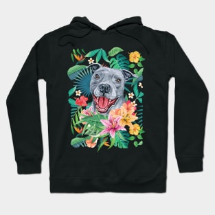 Tropical Blue Pit Bull Pitbull Hoodie